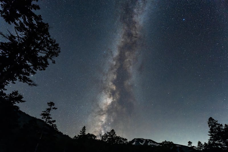 Starry Night in the Jungle